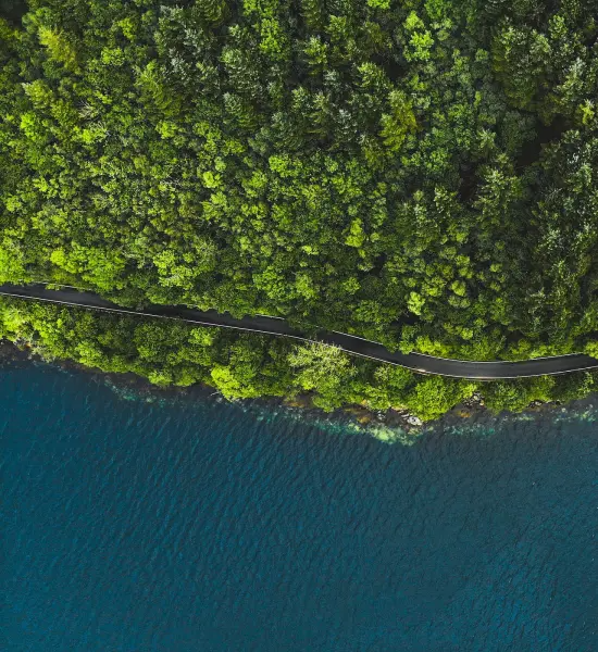 Nouvelles et histoires